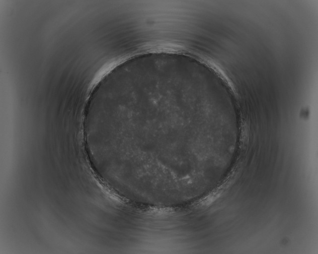 X0000091090978200708271252