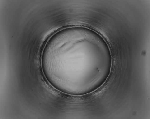 X0000091090979200708271252