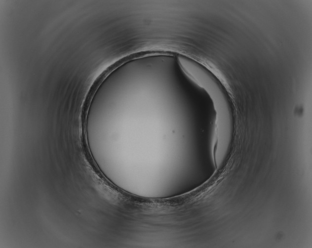 X0000091090980200708271252