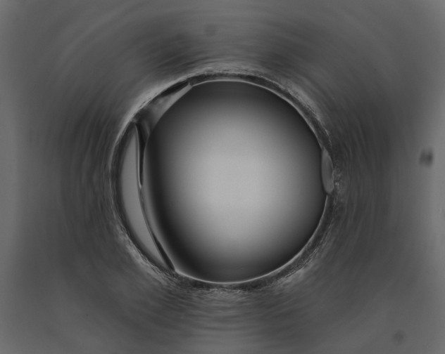 X0000091090981200708271252