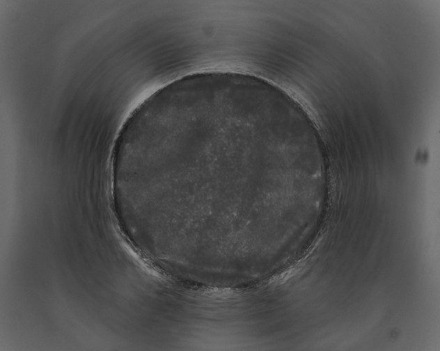 X0000091090982200708271252