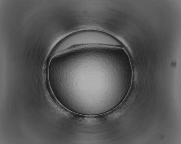 X0000091090983200708271252