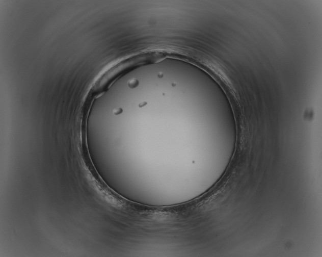 X0000091090984200708271252