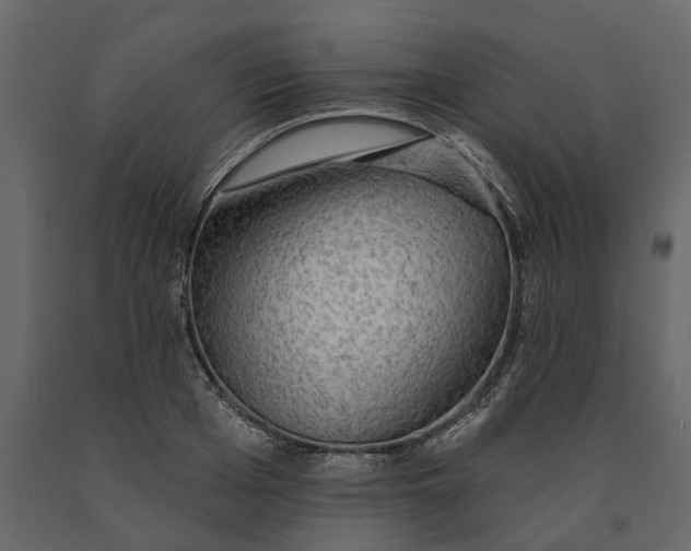 X0000091090985200708271252