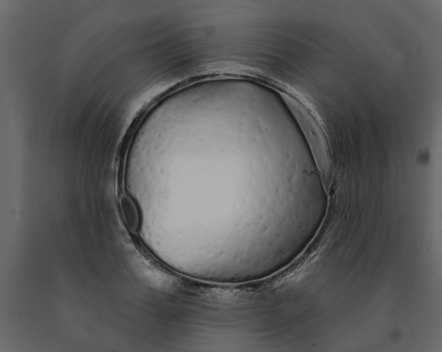 X0000091090987200708271252