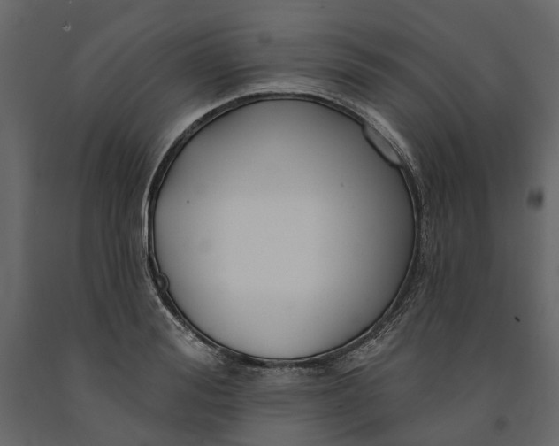 X0000091090988200708271252