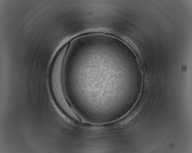 X0000091090989200708271252