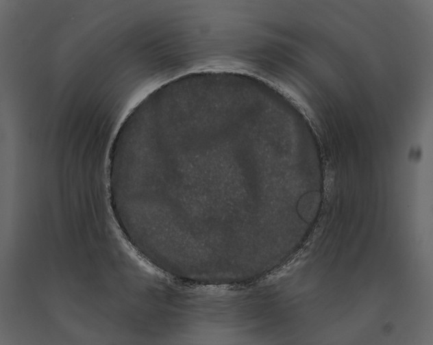 X0000091090990200708271252