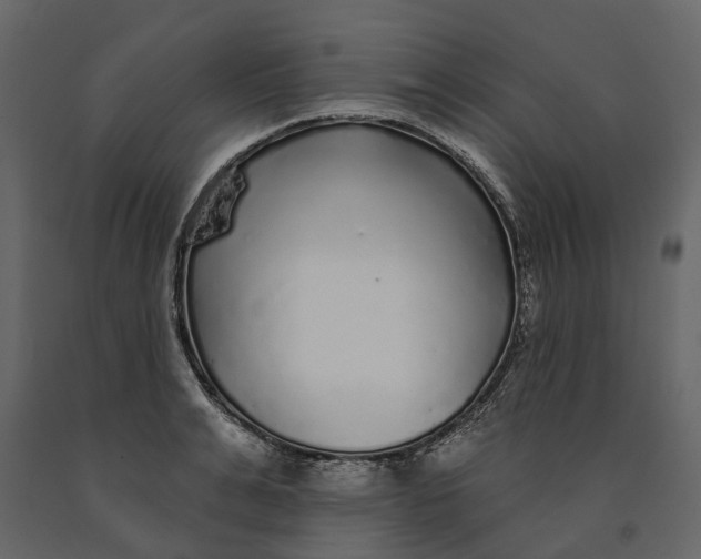 X0000091090991200708271252