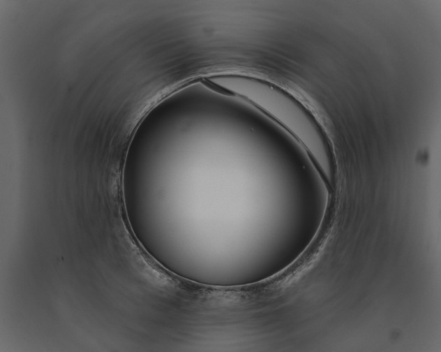 X0000091090993200708271252