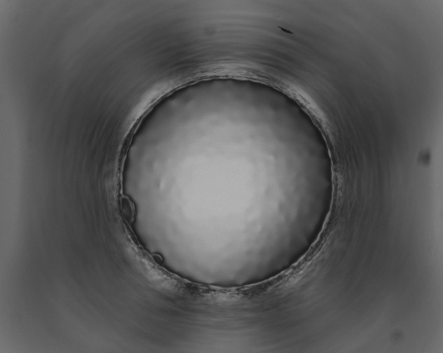 X0000091090994200708271252