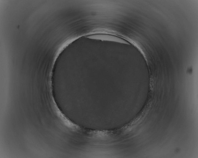 X0000091090995200708271252