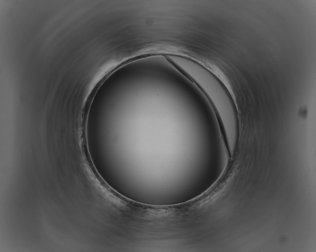 X0000091090997200708271252