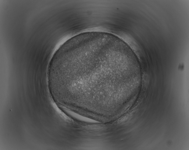 X0000091090998200708271252