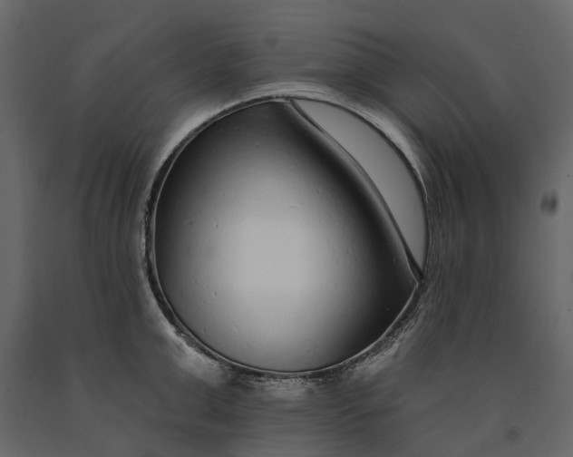 X0000091090999200708271252