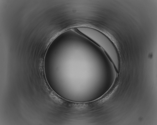 X0000091091001200708271252