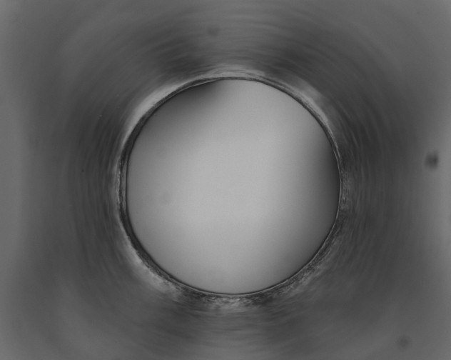 X0000091091003200708271252