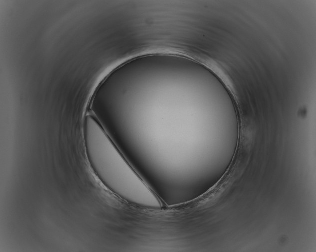 X0000091091004200708271252