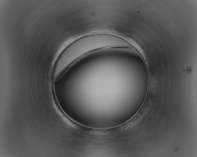 X0000091091005200708271252