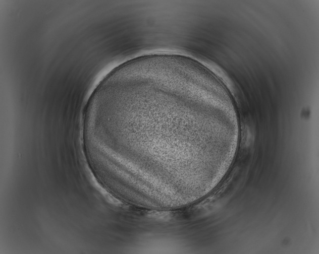 X0000091091006200708271252