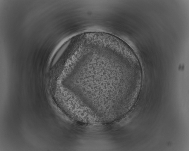 X0000091091008200708271252