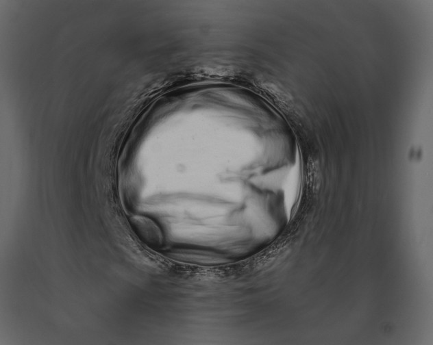 X0000091091009200708271251