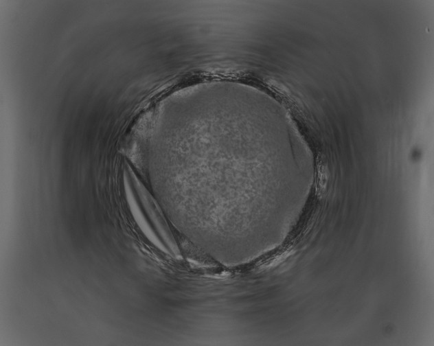 X0000091091010200708271251