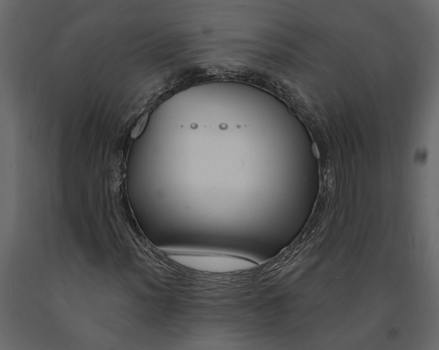 X0000091091012200708271251