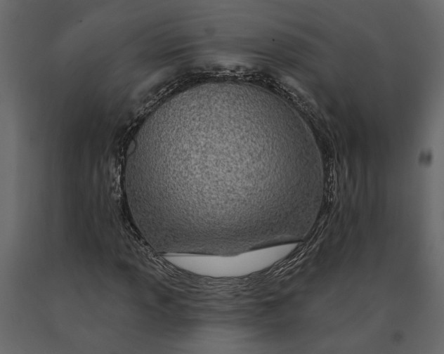 X0000091091013200708271251