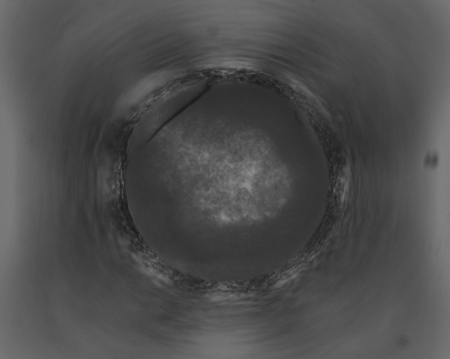 X0000091091014200708271251