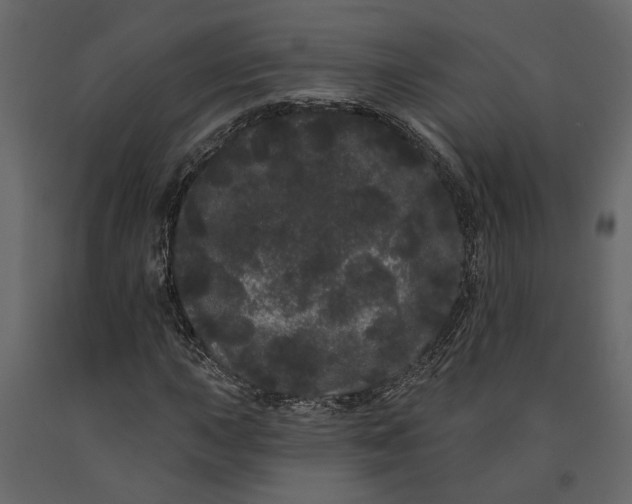 X0000091091015200708271251