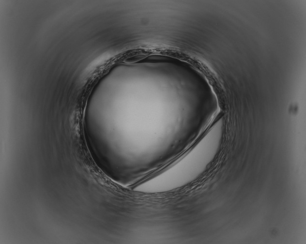 X0000091091016200708271251