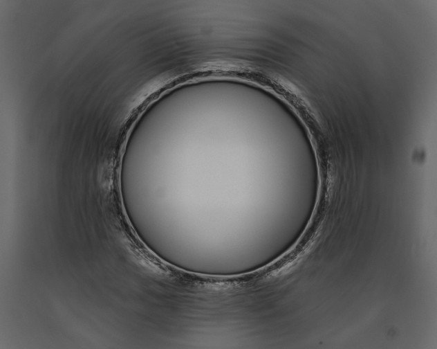 X0000091091017200708271251