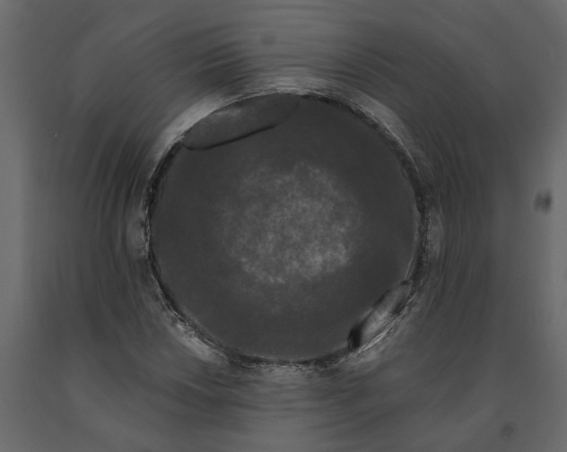 X0000091091018200708271251