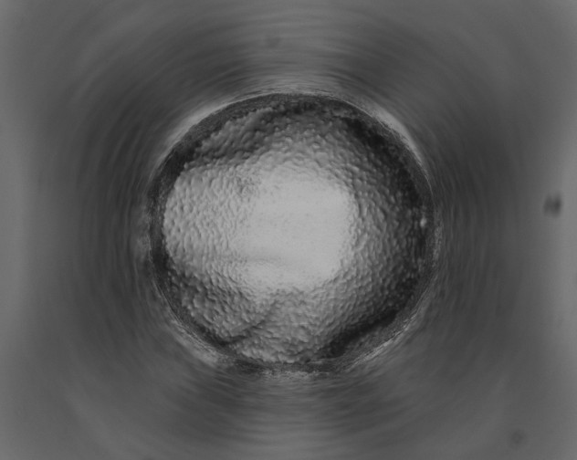 X0000091091019200708271251