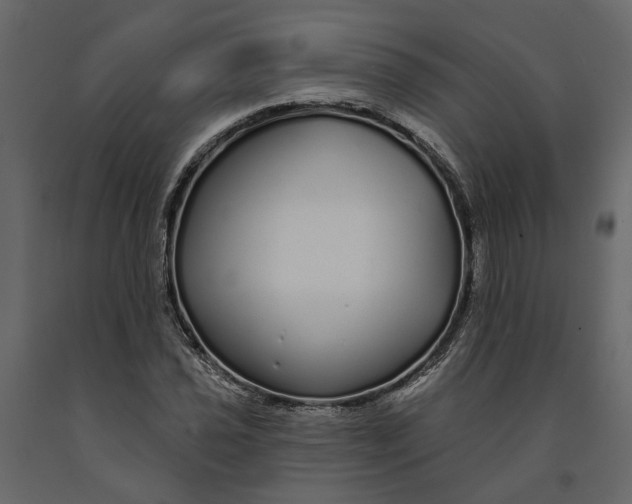 X0000091091021200708271251