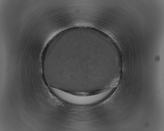 X0000091091022200708271251