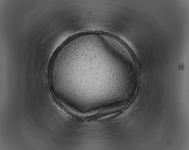 X0000091091023200708271251