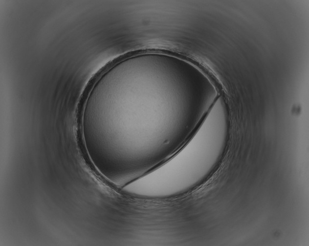 X0000091091024200708271251