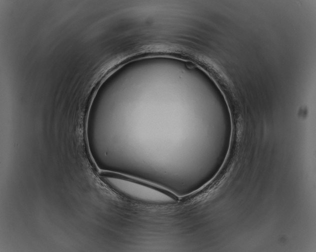 X0000091091025200708271251