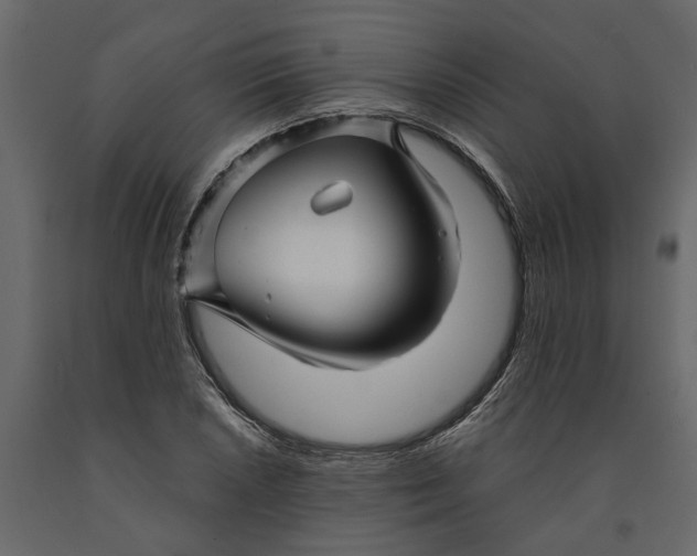 X0000091091026200708271251