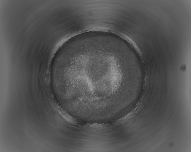 X0000091091027200708271251