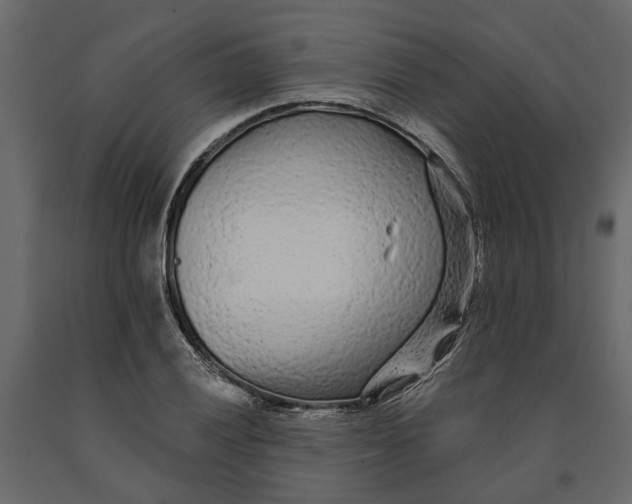 X0000091091028200708271251