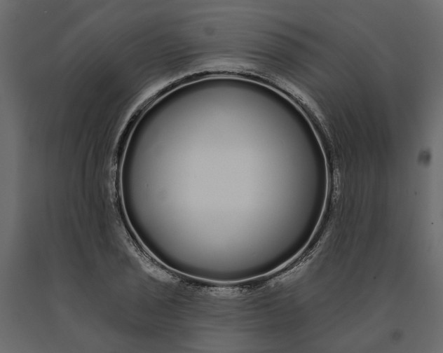 X0000091091029200708271251