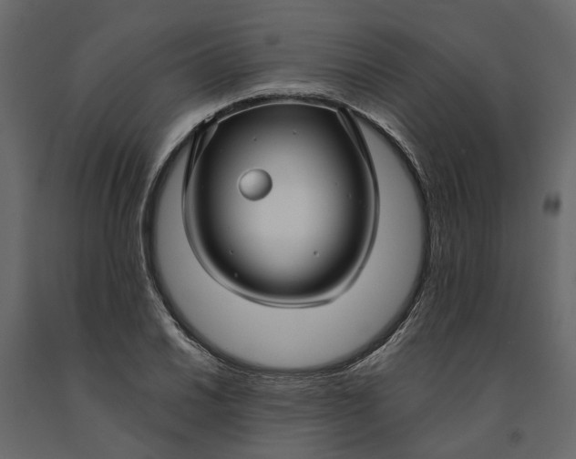 X0000091091030200708271251