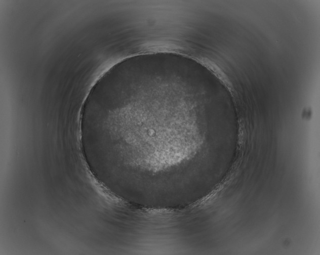 X0000091091031200708271251