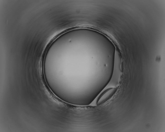 X0000091091032200708271251