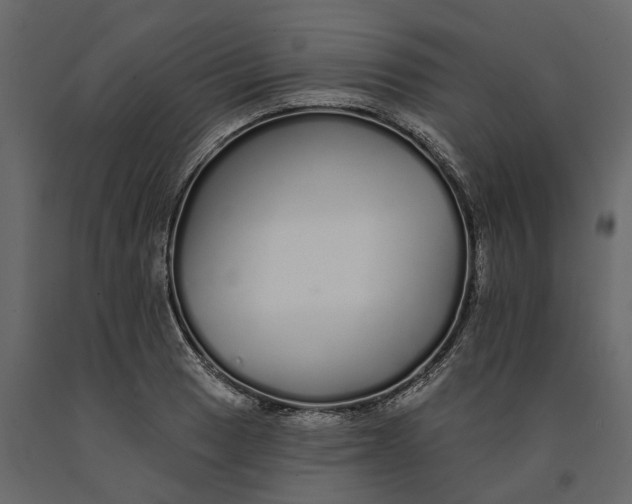 X0000091091033200708271251