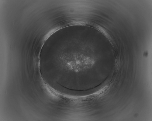 X0000091091034200708271251