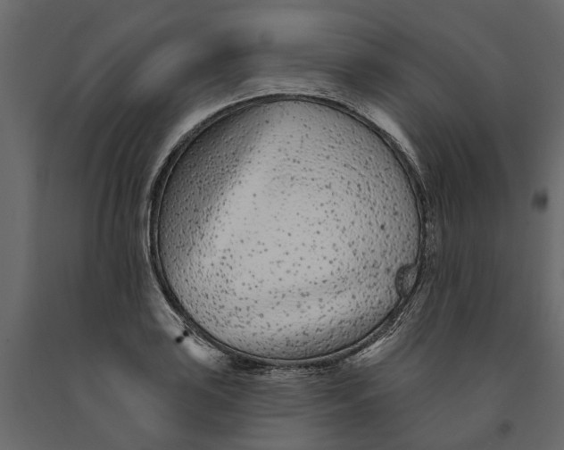 X0000091091035200708271251